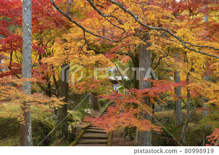 [Kyoto Prefecture] Ryuonji Temple Autumn Leaves Nantan City, Kyoto Prefecture 80998919