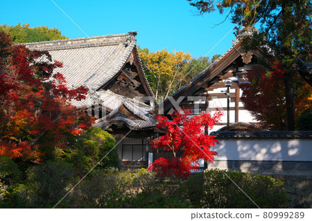 Autumn leaves of Hofukuji Temple and Kuri / Hojo, Soja City, Okayama Prefecture 80999289