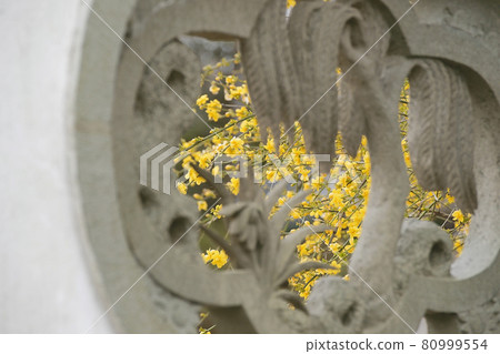 Yunnan Wu Mei 80999554