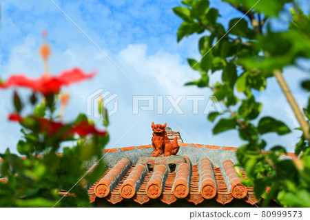 Hisai Okinawa Blue sky, red hibiscus and shisa 80999573