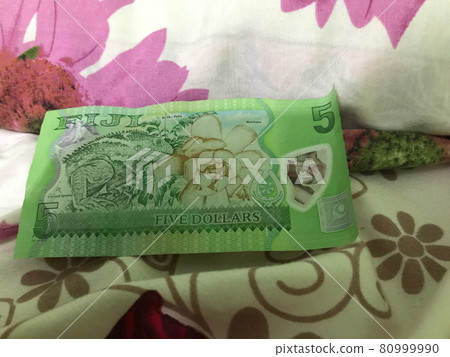 斐濟貨幣五顏六色的綠色 5 美元鈔票 80999990