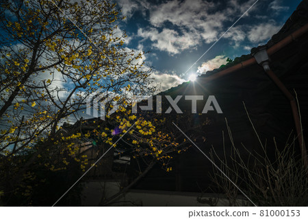 拍攝京都市左京區大連寺的日本五香粉 81000153