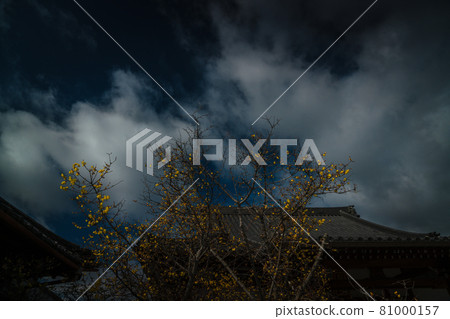 拍攝京都市左京區大連寺的日本五香粉 拍攝京都市左京區大連寺的日本五香粉 81000157