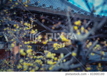 拍攝京都市左京區大連寺的日本五香粉 81000180