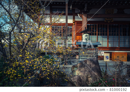 Photographed the Japanese allspice of Dairen Temple in Sakyo Ward, Kyoto City 81000192