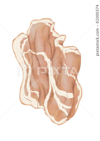 Ingredients-Meat hot pork loin ④ (without main line) Can also be used for hot pots, bento boxes, and cooking images Combination series Ingredients-Meat hot pork loin ④ (without main line) Can also be used for hot pots, bento boxes, and cooking images Combination series 81000374