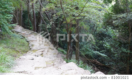 Summer Wakayama stone steps at Kamikura Shrine 81001021