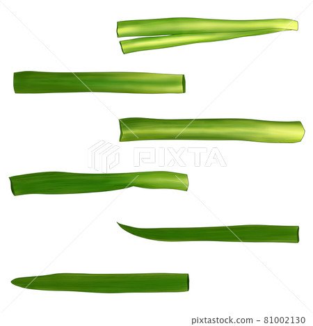 Vegetable chives list (illustration) Can also be used for hot pots, bento boxes, and cooking images Combination series 81002130