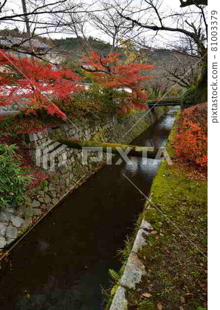 在哲學途中的秋葉 81003379