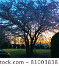Sunset 81003838