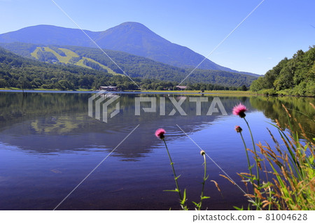 Megami Lake Summer Megami Lake Summer 81004628