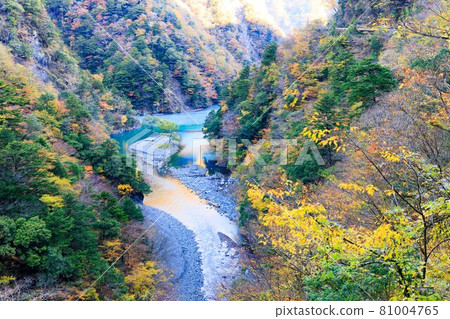 靜岡縣川本町秋葉與墨俁峽夢幻吊橋 靜岡縣川本町秋葉與墨俁峽夢幻吊橋 81004765