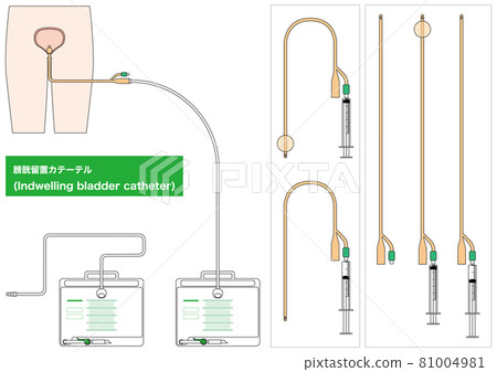 [Medical] Parts of indwelling bladder catheter (horizontal) 81004981