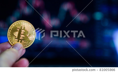 Hand holding golden coin crypto currency stock trade graph backg Hand holding golden coin crypto currency stock trade graph backg 81005866