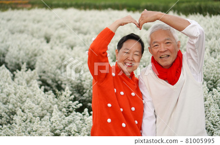 Asian senior elderly couple celebrating Christmas holiday season white flower and red winter sweater positive happiness emotion Asian senior elderly couple celebrating Christmas holiday season white flower and red winter sweater positive happiness emotion 81005995