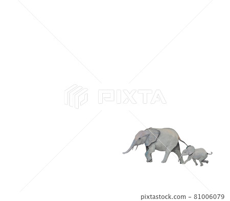 A picture with a margin where an elephant is drawn at one point in the lower right A picture with a margin where an elephant is drawn at one point in the lower right 81006079