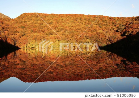 Autumn leaves in Tsutanuma, Aomori Prefecture Autumn leaves in Tsutanuma, Aomori Prefecture 81006086