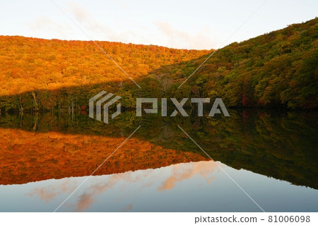 Autumn leaves in Tsutanuma, Aomori Prefecture Autumn leaves in Tsutanuma, Aomori Prefecture 81006098