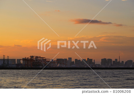 東京城南島海濱公園的東京海濱夜景 東京城南島海濱公園的東京海濱夜景 81006208