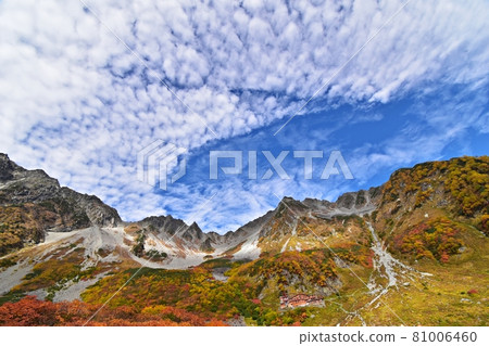 從烏沢小屋看到的秋色最高峰的烏沢馬戲團、奧穗高岳、烏沢岳、北穗高岳、烏澤小屋 81006460