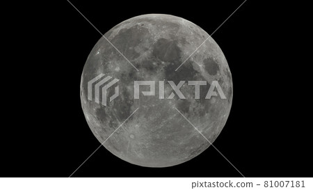 Photorealistic view of the full moon on the night sky Photorealistic view of the full moon on the night sky 81007181