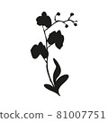 vector illustration of an orchid, black and white logo isolated on a white background 81007751