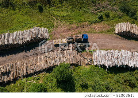 The deforestation of Siberia: economic and environmental problems in russian forest management. 81008615