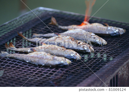 鹽烤虹鱒魚、河魚、淡水魚、虹鱒魚、炭烤、燒烤烹飪 鹽烤虹鱒魚、河魚、淡水魚、虹鱒魚、炭烤、燒烤烹飪 81009124