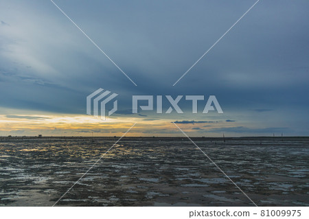 Low tide showing area of mud sea in the evening. Low tide showing area of mud sea in the evening. 81009975