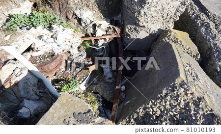 秋天的東京灣2號砲台 81010193