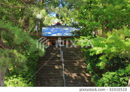 [Hyogo Prefecture] The main shrine of Onokorojima Shrine 81010528