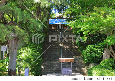 [Hyogo Prefecture] The main shrine of Onokorojima Shrine 81010531