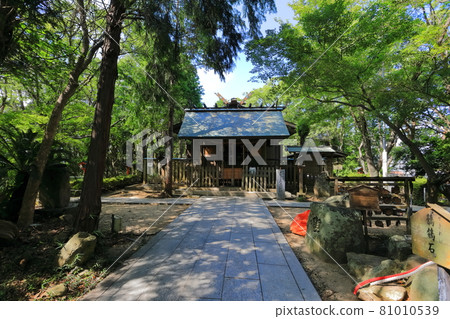 [Hyogo Prefecture] The main shrine of Onokorojima Shrine 81010539