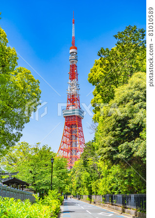 Cityscape of Tokyo Scenery around Shibakoen, Minato-ku Cityscape of Tokyo Scenery around Shibakoen, Minato-ku 81010589