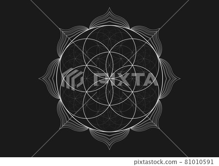 Seed Flower of life lotus icon, yantra mandala sacred geometry, tattoo symbol of harmony and balance. Mystical talisman, white lines vector isolated on black background Seed Flower of life lotus icon, yantra mandala sacred geometry, tattoo symbol of harmony and balance. Mystical talisman, white lines vector isolated on black background 81010591