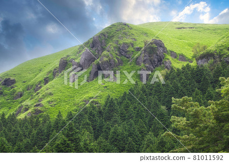 阿蘇九重國立公園212國道湯之浦停車場 81011592