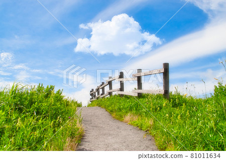 熊本縣阿蘇市西湯之浦庭園展望台的道路 81011634