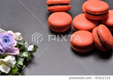 Macaroon Macaroon 81012110