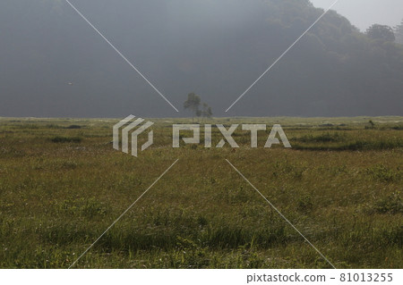 Landscape ・ Raised bog of Osegahara Landscape ・ Raised bog of Osegahara 81013255