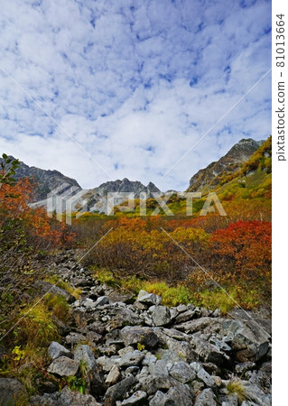 唐澤馬戲團、秋色之巔、S Galle 和穗高山附近的山路 81013664