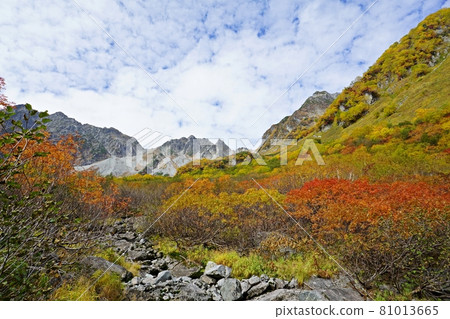 Karasawa Cirque, the peak of autumn colors, and the mountain trail near S Galle and Mt. Hotaka Karasawa Cirque, the peak of autumn colors, and the mountain trail near S Galle and Mt. Hotaka 81013665