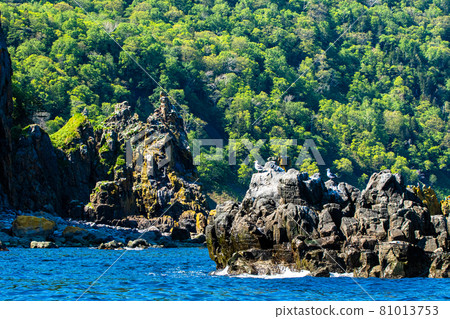 Strange rocks and seabirds on the Shiretoko Peninsula, Rausu-cho, Hokkaido Strange rocks and seabirds on the Shiretoko Peninsula, Rausu-cho, Hokkaido 81013753