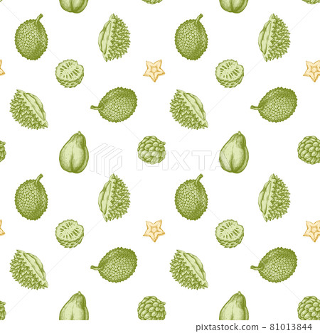 Seamless pattern with hand drawn pastel papaya, starfruit, durian, jackfruit, sugar-apple, soursop Seamless pattern with hand drawn pastel papaya, starfruit, durian, jackfruit, sugar-apple, soursop 81013844