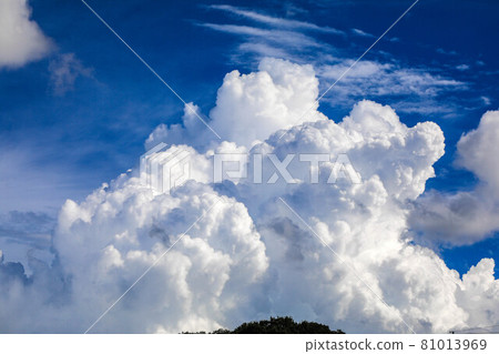 Summer cloud Summer cloud 81013969