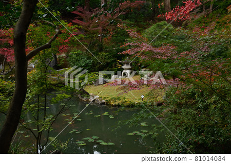 Komaki Komingoji秋葉 Komaki Komingoji秋葉 81014084