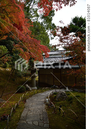Autumn leaves of Komaki Komingoji Autumn leaves of Komaki Komingoji 81014087