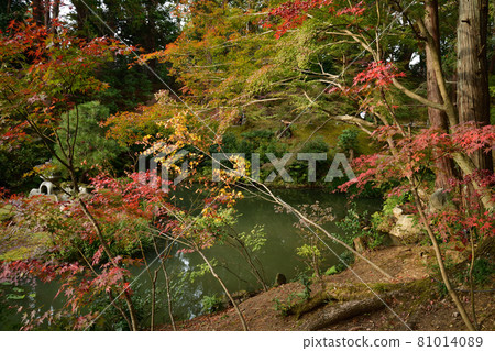 Komaki Komingoji秋葉 Komaki Komingoji秋葉 81014089