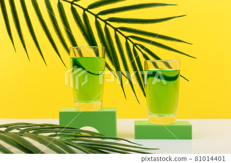 Sambuca, liqueur or green alcohol drink in shot glasses on geometric shapes against yellow background with palm leaf Sambuca, liqueur or green alcohol drink in shot glasses on geometric shapes against yellow background with palm leaf 81014401