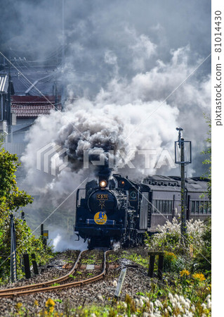 SL Yamaguchi 81014430