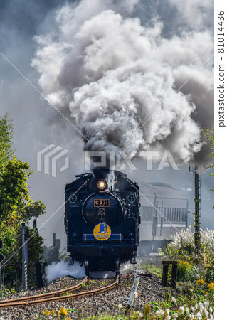 SL Yamaguchi 81014436